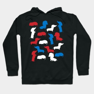 Patriotic Dachshunds Dog America Flag 4Th Of July Hoodie